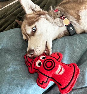 In-the-Hoop Fire Hydrant Plushie Toy – Embroidery Design for Pet Gifts & Play